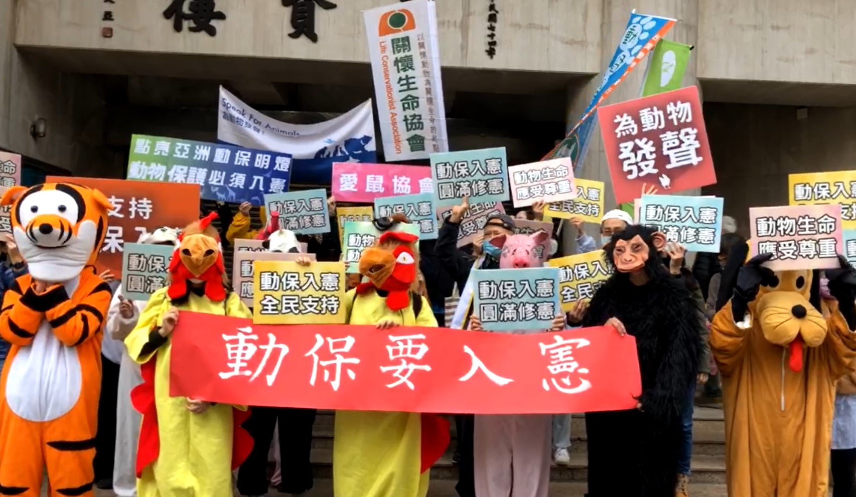 修憲空轉！動保團體要求「讓動物也入憲」　藍綠繼續鬥嘴鼓